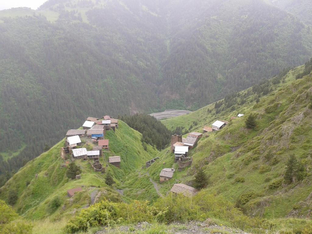 Guest House Old Omalo Екстериор снимка