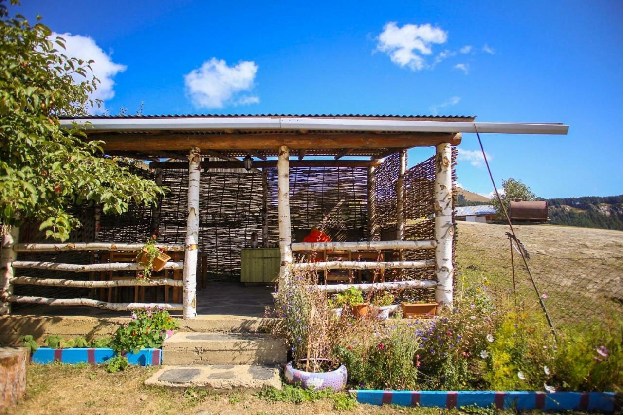 Guest House Old Omalo Екстериор снимка